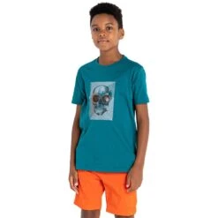 Dare 2B Boys Trailblazer Casual Graphic T Shirt