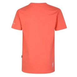 Dare 2B Girls Trailblazer Casual Graphic T Shirt 15 Dare 2B Girls Trailblazer Casual Graphic T Shirt -Men's Clothing Sales Store dkt443g 6qm 04