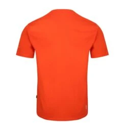 Dare 2B Mens Fundament Graphic T Shirt 19 Dare 2B Mens Fundament Graphic T Shirt -Men's Clothing Sales Store dmt686 1wc 04