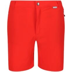 Regatta Mens Mountain II Durable Water Repellent Shorts 14 Regatta Mens Mountain II Durable Water Repellent Shorts -Men's Clothing Sales Store rmj264 657 03
