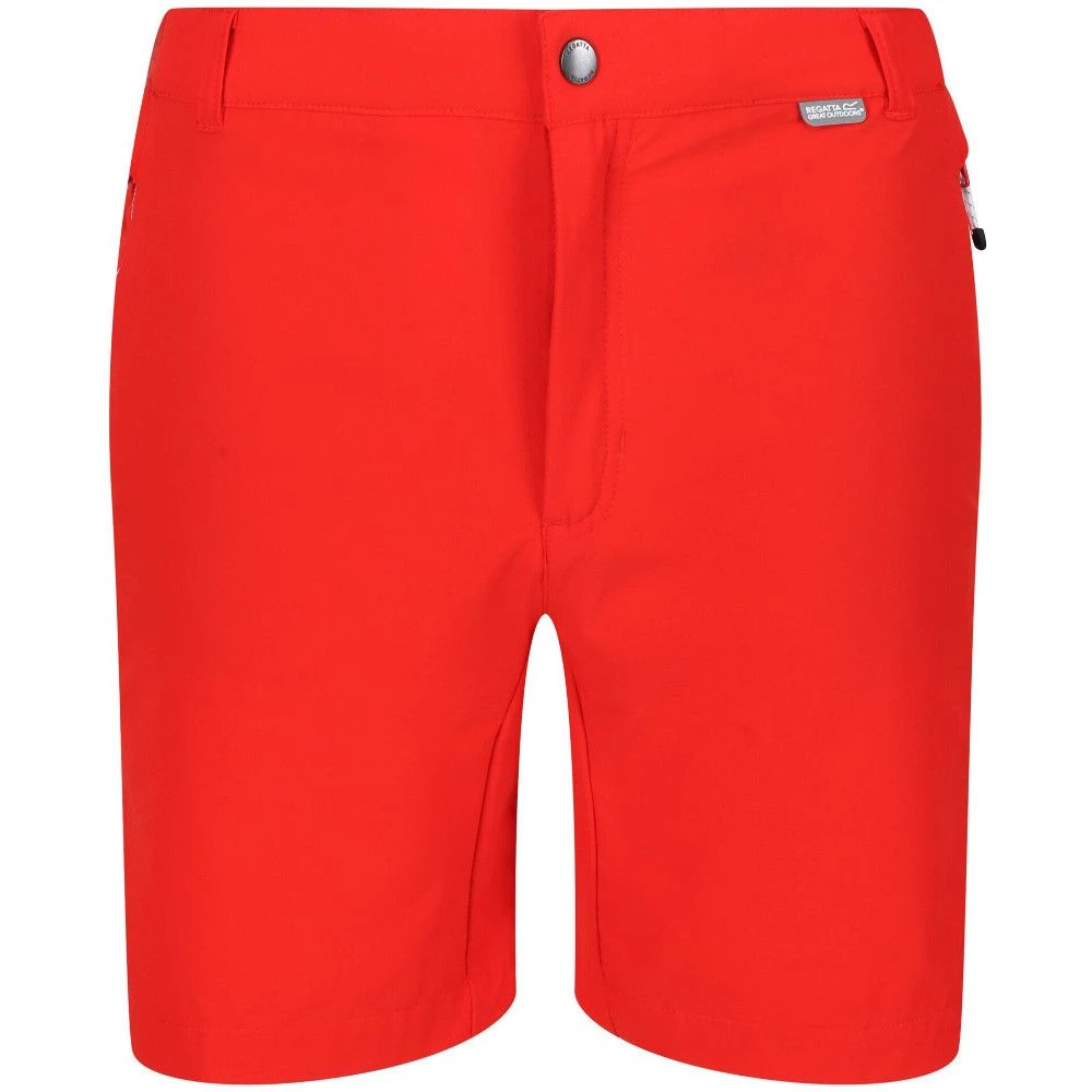 Regatta Mens Mountain II Durable Water Repellent Shorts 3 Regatta Mens Mountain II Durable Water Repellent Shorts - Image 3