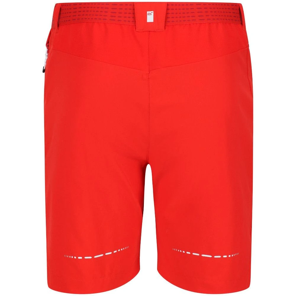 Regatta Mens Mountain II Durable Water Repellent Shorts 4 Regatta Mens Mountain II Durable Water Repellent Shorts - Image 4