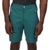 Regatta Mens Highton Pro Durable Water Repellent Shorts