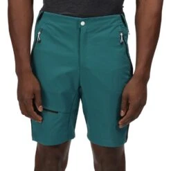 Regatta Mens Highton Pro Durable Water Repellent Shorts