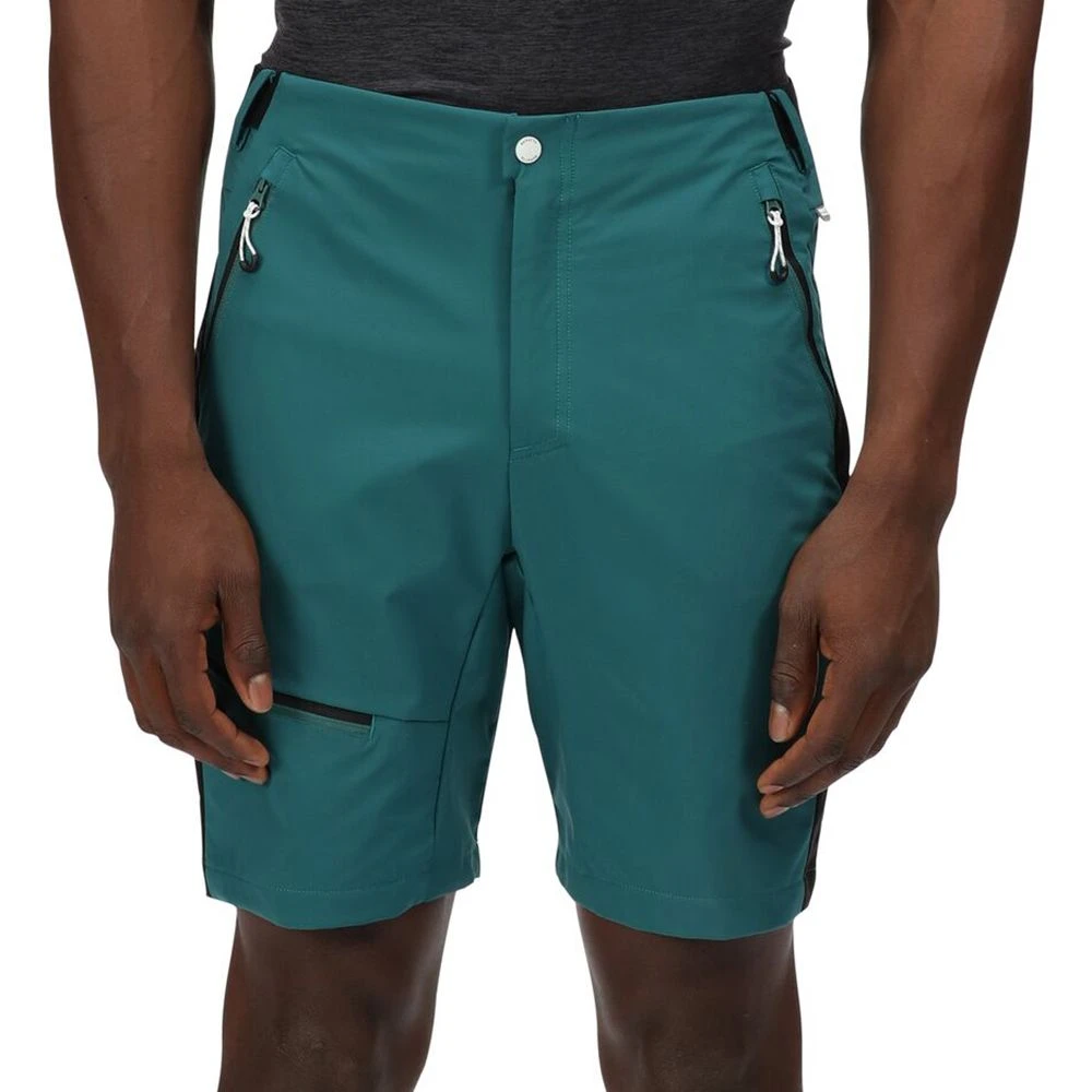 Regatta Mens Highton Pro Durable Water Repellent Shorts 1 Regatta Mens Highton Pro Durable Water Repellent Shorts