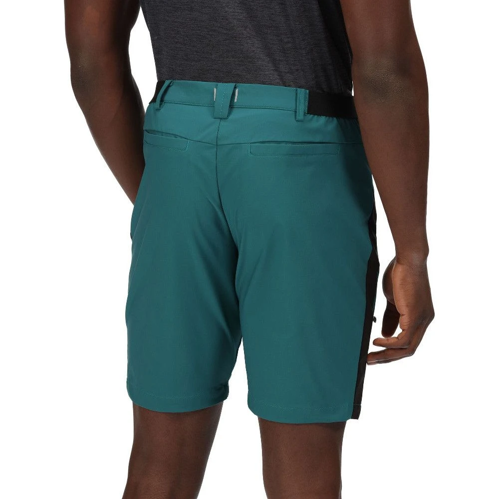 Regatta Mens Highton Pro Durable Water Repellent Shorts 2 Regatta Mens Highton Pro Durable Water Repellent Shorts - Image 2