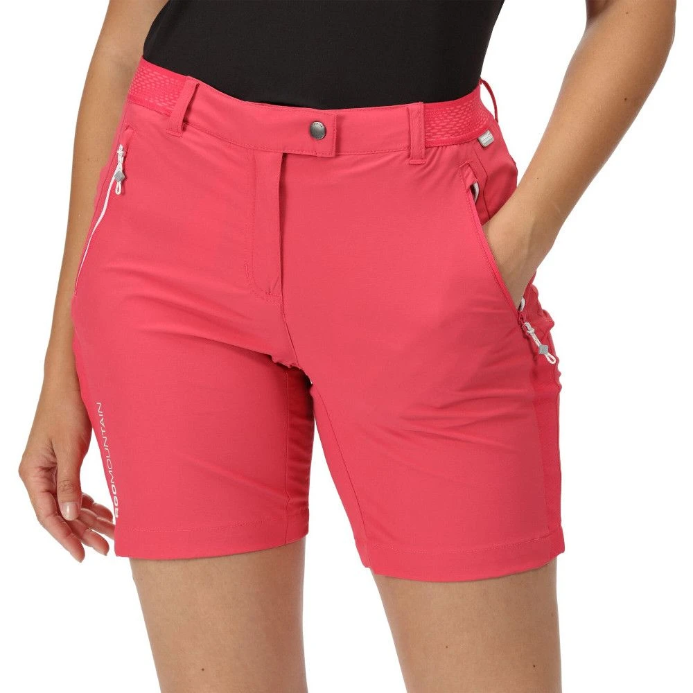 Regatta Womens Mountain II Active Stretch Walking Shorts 7 Regatta Womens Mountain II Active Stretch Walking Shorts - Image 7
