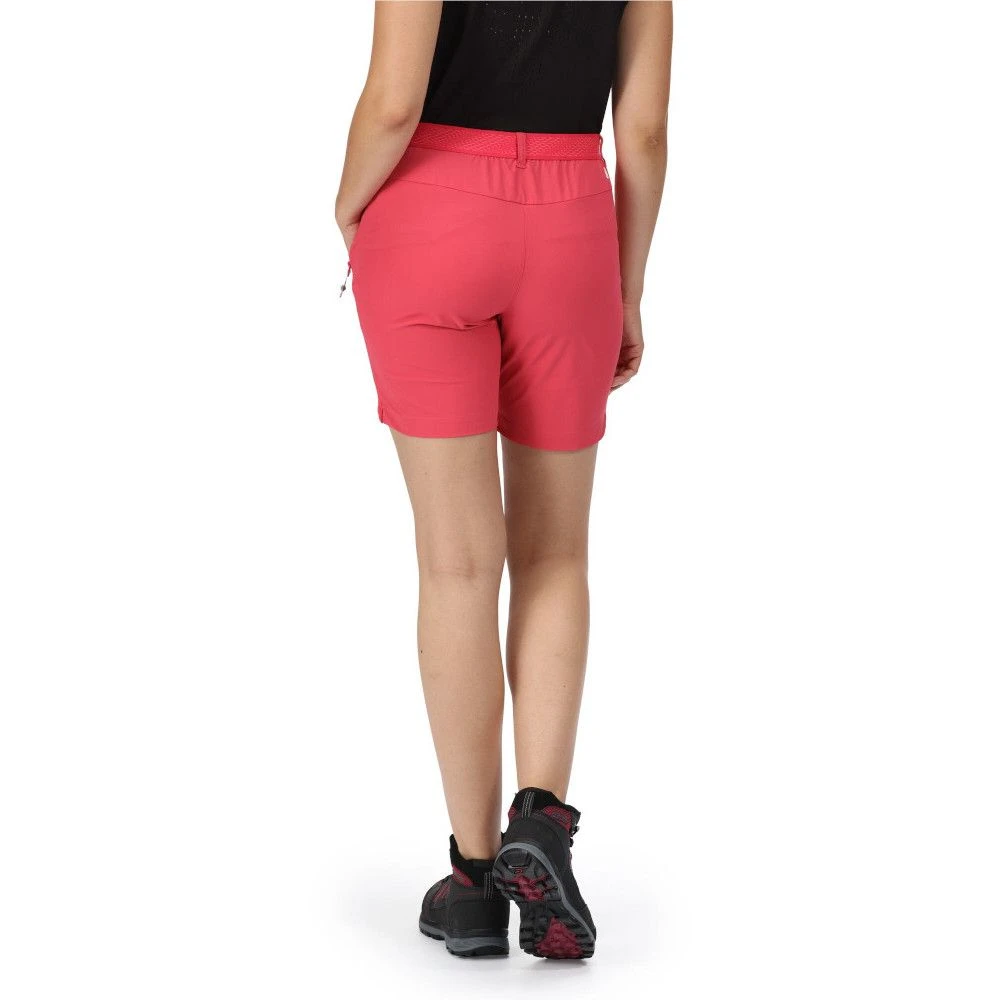 Regatta Womens Mountain II Active Stretch Walking Shorts 8 Regatta Womens Mountain II Active Stretch Walking Shorts - Image 8