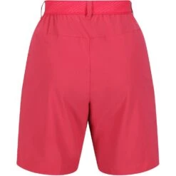 Regatta Womens Mountain II Active Stretch Walking Shorts 19 Regatta Womens Mountain II Active Stretch Walking Shorts -Men's Clothing Sales Store rwj256 tie 04