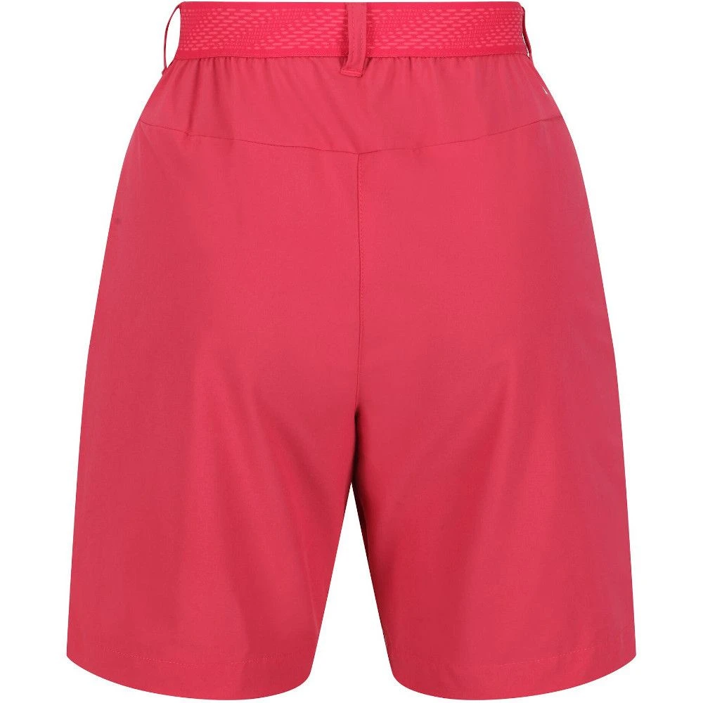 Regatta Womens Mountain II Active Stretch Walking Shorts 10 Regatta Womens Mountain II Active Stretch Walking Shorts - Image 10